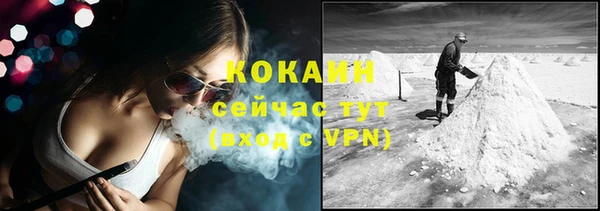 стаф Новозыбков