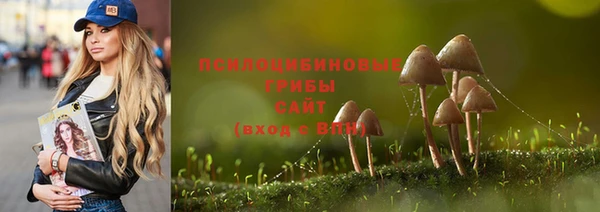 стафф Абаза