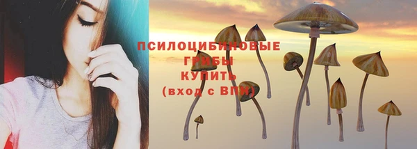 apvp Алексеевка