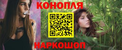прущие грибы Можга