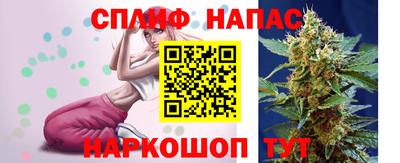 спиды Моздок