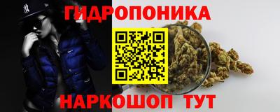 спиды Моздок