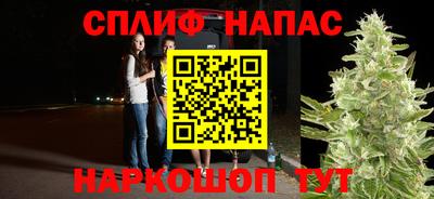 спиды Моздок