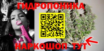 прущие грибы Можга