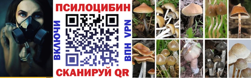 купить  сайты  Калининград  кракен маркетплейс  Галлюциногенные грибы MAGIC MUSHROOMS 