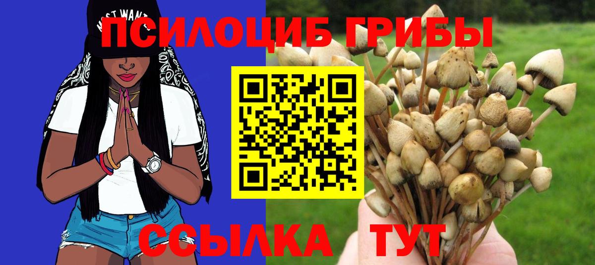 Галлюциногенные грибы мухоморы Калининград